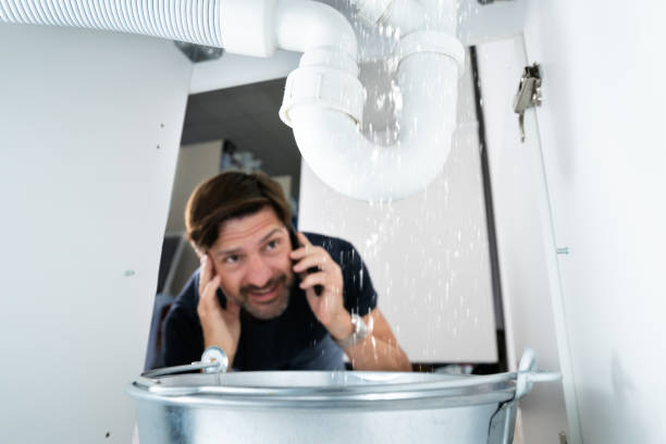 Best Plumbing Inspection Services  in Genoa City, WI
