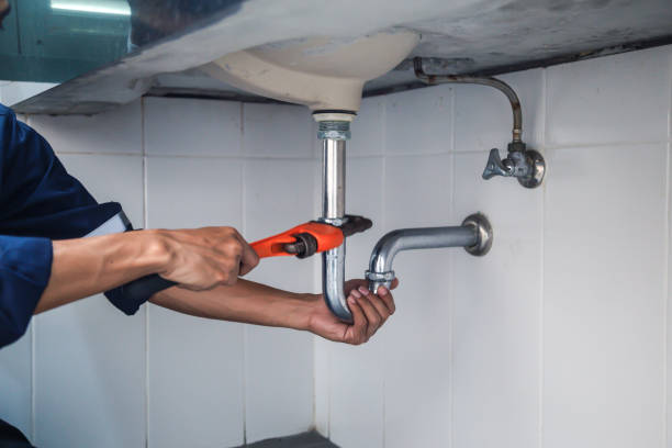 Best Water Heater Repair  in Genoa City, WI